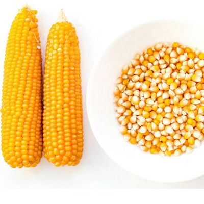WONDERCHOICE FOODS Popcorn Kernel Seeds - 5kg (1kg 5packets)