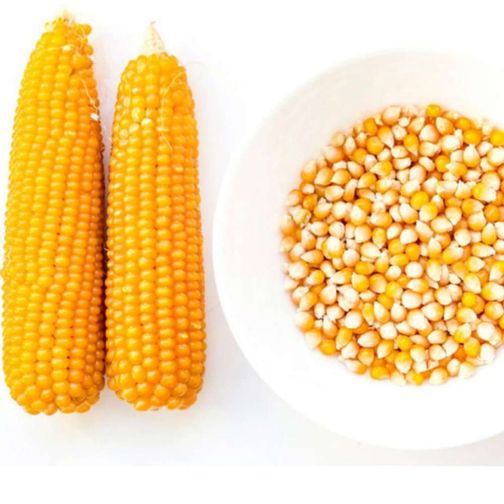 WONDERCHOICE FOODS Popcorn Kernel Seeds - 5kg (1kg 5packets)