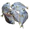 Anchovy | Nethili + Silver Belly | Mullan + Sardine | Chala Combo Pack 3 (300 Grams) view 3