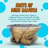 Kaligodam | Mini Samosa (Pack of 2) 200g | Evening Snacks | All-time Favourite Indian Snacks/Namkeen | Ready to Eat | Crispy & Tea-Time Snacks view 4