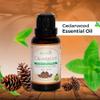 Edysian 100% Natural Cedarwood Essential Oil | Natural Undiluted Therapeutic Grade For Skin, Hair, Massage And Aromatherapy | For Grounding, Relaxation, And Topical Application | Steam Distilled (15ml). view 2