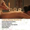 4beauty Therapy Massage Cupping Cup Therapy set | 16 Glass Cups for Acupuncture Cupping Sets Chinese Medical Magnetic Acupuncture Vacuum Cupping Set Professional Cupping Kit view 2