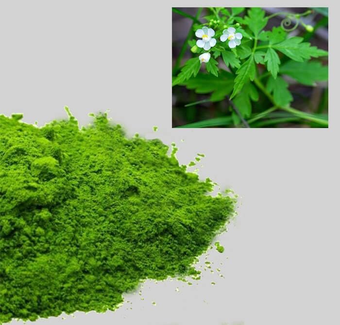 BSD Organics Mudakathan/Balloon Vine/Cardiospermum halicababum/Kanphata Leaves Powder - 100 Gram