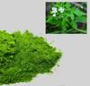 BSD Organics Mudakathan/Balloon Vine/Cardiospermum halicababum/Kanphata Leaves Powder - 100 Gram view 1