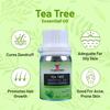 YK Laboratories Essential Oil Set 100% Pure & Natural, Therapeutic Grade - Lavender Oil | Tea Tree Oil | Rosemary Oil | Orange Oil | Clove Oil - 50ml Each (Pack of 5) view 3