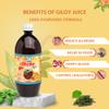 Bharat Gram Udyog Giloy Juice - Immune Booster & Detox Tonic, 1 L view 2