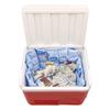 Easy Ice 5 sheet Pack for Ice Box, Coolers and Cold/Hot Therapy. view 3