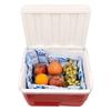 Easy Ice 5 sheet Pack for Ice Box, Coolers and Cold/Hot Therapy. view 4