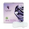 Flawsome Ultra Soft Sanitary Pads| Plant Based, Biodegradable | 10 Pads  L (285mm, Light-Medium Flow) | Rash-Free, Leak-Proof & Breathable | 100% Toxin-Free | Extra Absorbent with Disposal Pouch view 2