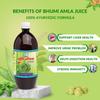 Bharat Gram Udyog Bhumi Amla Juice - Natural Liver and Kidney Support, 1 L view 2