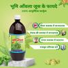 Bharat Gram Udyog Bhumi Amla Juice - Natural Liver and Kidney Support, 1 L view 3