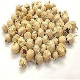 Nourish Nuts Paneer Doda Withania Coagulans Paneer Phool Paneer Ka Phul (900)