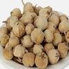 Nourish Nuts Paneer Doda Withania Coagulans Paneer Phool Paneer Ka Phul (900) view 2