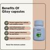 Peakick Giloy Capsules for Immune Support and Detoxification 30 count view 3