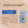 Peakick Giloy Capsules for Immune Support and Detoxification 30 count view 4