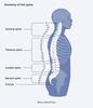 Peripheral neuropathy legs and feet pain relieve immediately by Neurons natural view 4