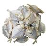 AL-Haqq - Anchovy | Nethili + Silver Belly | Mullan + Mackerel | Ayala Combo (900 Grams) view 4