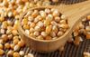 Grocery Connect Pop Corn Kernels | Popcorn Kernels | Unpoped Corn | Original Makkai Seeds (1.8 kg) view 3