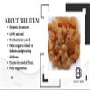 100gm Organic Palm Sugar Crystals/ /Panag Kalkandu - Pack of 1 view 4