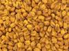 Fruitri Premium Roasted Popcorn Seeds 400 grams - Irresistible Flavor, Nutritious Snacking view 2