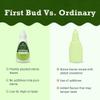 First Bud Organics Pure Stevia Drops - 20ml x 10 | Zero Calorie, Natural Sweetener, Non-GMO & Sugar-Free Stevia Drops | Sugar Substitute For 4000+ Serving, Low Glycemic index & Promote Oral Health view 2