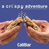 CaliBar 10 grams Protein Bar - Choco Blueberry Crispy Bar (Pack of 6) Low In Sugar, Real Blueberry Bits, Gluten-Free, 4 grams Fiber, No Preservatives & Delicious Taste (40 grams x 6 Bars) view 4