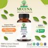 One Tree by Herbal Homes Mucuna 500mg Extract - 60 Vegan Capsule view 4