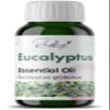 Radha Organic Eucalyptus Essential Oil - 100% Natural Eucalyptus Oil Essential Oils for Diffuser, Skin, Humidifier & Hair (50 ML) view 1