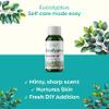 Radha Organic Eucalyptus Essential Oil - 100% Natural Eucalyptus Oil Essential Oils for Diffuser, Skin, Humidifier & Hair (50 ML) view 2