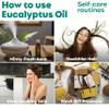 Radha Organic Eucalyptus Essential Oil - 100% Natural Eucalyptus Oil Essential Oils for Diffuser, Skin, Humidifier & Hair (50 ML) view 3