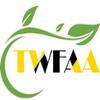 TWFAA Fryums Home made Onion rings | Grade A Quality | Onion Rings Ready-to-Fry Papads | (1 kg view 3