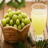 Amla syrup by Kokan Vasudha - Authentic Maharashtrian Taste (500ml) (1000ml) view 4