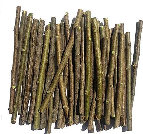 40NDTN@Neem Datun Toothbrush Nim Tree Twigs Chew Sticks for Brushing Teeth Removes Bad Breath, Relieve Tooth Ache 100% Ayurvedic Natural Organic - Pack of 40 Pieces_RTG3.19