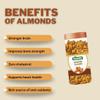 Kaabu Natural and Premium California Roasted & Salted Almonds Jar Pack of 2 x 500gm | Premium Badam Giri | High in Fiber & Boost Immunity | Real Nuts | Gluten Free view 2