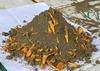 Original Soil of Ayodhya | | Ram Janam Bhumi ki Mitti 500g | Holy Land Ayodhya Soil | Pavitra Mitti | Grown and ship from holy land ayodhya | for making havan kund/Bhumi Pujan | view 2