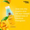 COTHAS MANGO MILKSHAKE 250 ML (PACK OF 6) view 4