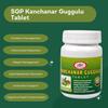 SGP Kanchanar Guggulu Tablet Cholesterol Management Digestive Health Management - 60 Tablet view 3