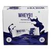 Whey91 Blueberry Blast Protein Bar, 20g Protein & 7.3g Fiber in each, No Added Sugar |No Artificial Flavour, 390g- (Pack of 6) view 1