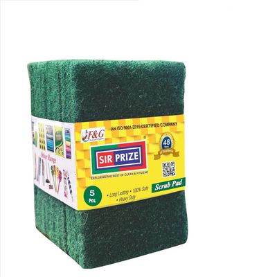 F&G SIR PRIZE Utensil Scrub Pad, 5 Pcs Dish Scrubber Scouring Pads, 4 x 3 inch Green Reusable Household Scrub Pads for Dishes, Kitchen Scrubbers & Metal Grills (Medium 1 Pack)