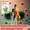 Dr.Vasishth's Kalmegh Tablets | Natural Immunity Booster | Herbal Fever Support | Natural Liver Health Supplement | 100% Ayurvedic | 30 Tablets view 3