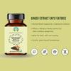 AYURVEDASHREE Trikatu Extract 500mg - 60 Vegetarian Capsules | Ginger with Black Pepper & Long Pepper Extract | | All Natural | 100% Vegan | Gluten-Free | GMP Certified. view 4