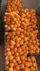 Himalayan Haat Malta Cooler  100% Natural Malta Orange Squash, Made with Khand | No Preservatives or Additives | 500ml (Pack of 2) view 4
