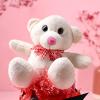 FlowerAura Premium Combo of Fresh Chocolate & Teddy Gift For Birthday | Anniversary | Love | Girlfriend's Day | Mothers Day Gift For Mom (Same Day Delivery) view 2