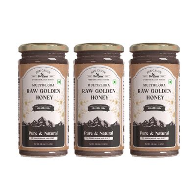 Bee Cause Pure & Natural Multiflora Golden Raw Honey (330g each, Pack of 3)