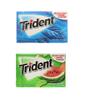 Astonished Retail Trident Sugar Free Chewing Gum Original Flavor 14 Sticks,26.6 G(Pack Of 1) And Watermelon Flavor 14 Sticks,26.6 G(Pack Of 1) view 1