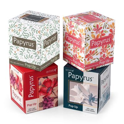 PAPYRUS 2-Ply Paper Napkins | Soft & Absorbent Napkins for Kitchen & Home Use | (100 Pulls X 2-200 Sheets), 4 Packs (800 Sheets Total) | Disposable Napkin Tissue for Dining & Events