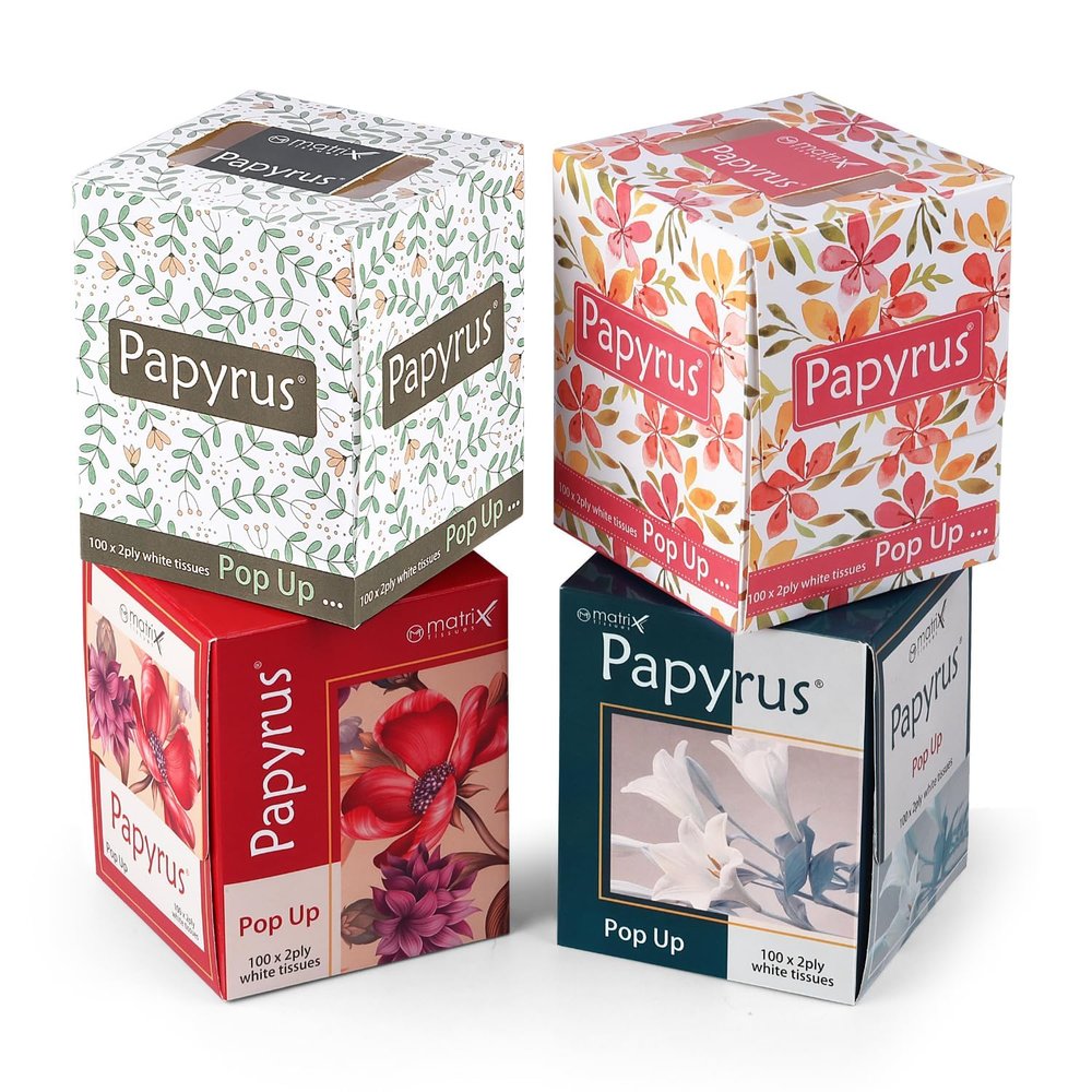 PAPYRUS 2-Ply Paper Napkins | Soft & Absorbent Napkins for Kitchen & Home Use | (100 Pulls X 2-200 Sheets), 4 Packs (800 Sheets Total) | Disposable Napkin Tissue for Dining & Events