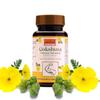Ayurleaf Herbals Gokshura Tribulus-500mg Capsules | Boosts Vitality & Stamina | Supports Gut Health | 100% Natural Herb (60 Capsules) view 1