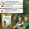 Dia-Mix Karela Chocolate Powder for Diabetes - 150g | Karela Powder | Xylitol sweetened | Bitter Gourd Powder for Diabetes | Maintains healthy Blood Sugar Level | Liver Cleanse, Support Healthy Heart | Rich in Antioxidants, Vitamins and Minerals | Di view 4
