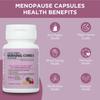 Morning Comes Ayurvedic Menopause Capsules Natural Herbal Blend for Women Supports Hormonal Balance view 3